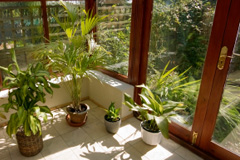 Dendron orangery costs